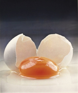 atavus:  Irving Penn - Broken Egg, 1959 