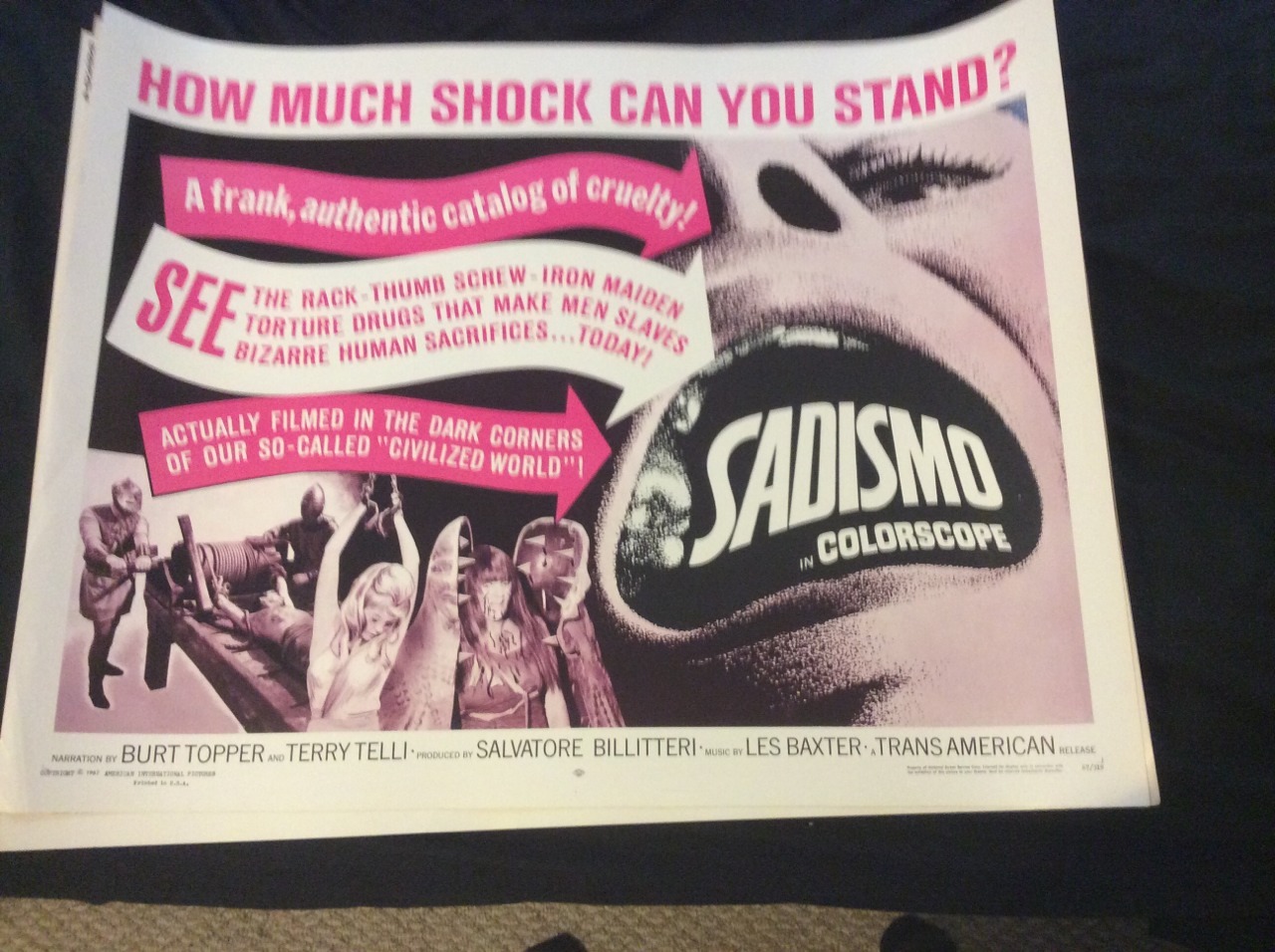 ghostsareassholes:  Some sweet original movie posters I bought for a song at Monsterpalooza
