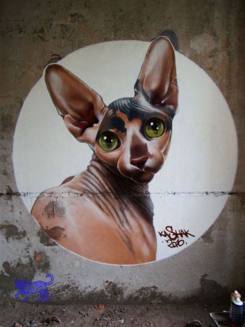 archiemcphee: Street Art + Cats = Caturday art fest!Street Art 360 assembled an awesome collection o