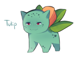 pichu-pii:Ivysaur subspecies!Inspired by