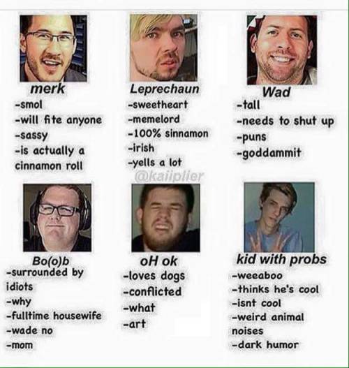 xjackaboyxmarkimoox:  reblog and tag who you are  I’m all of them  This is the most perfect description I’ve ever seen. Please send Ryan this genius.