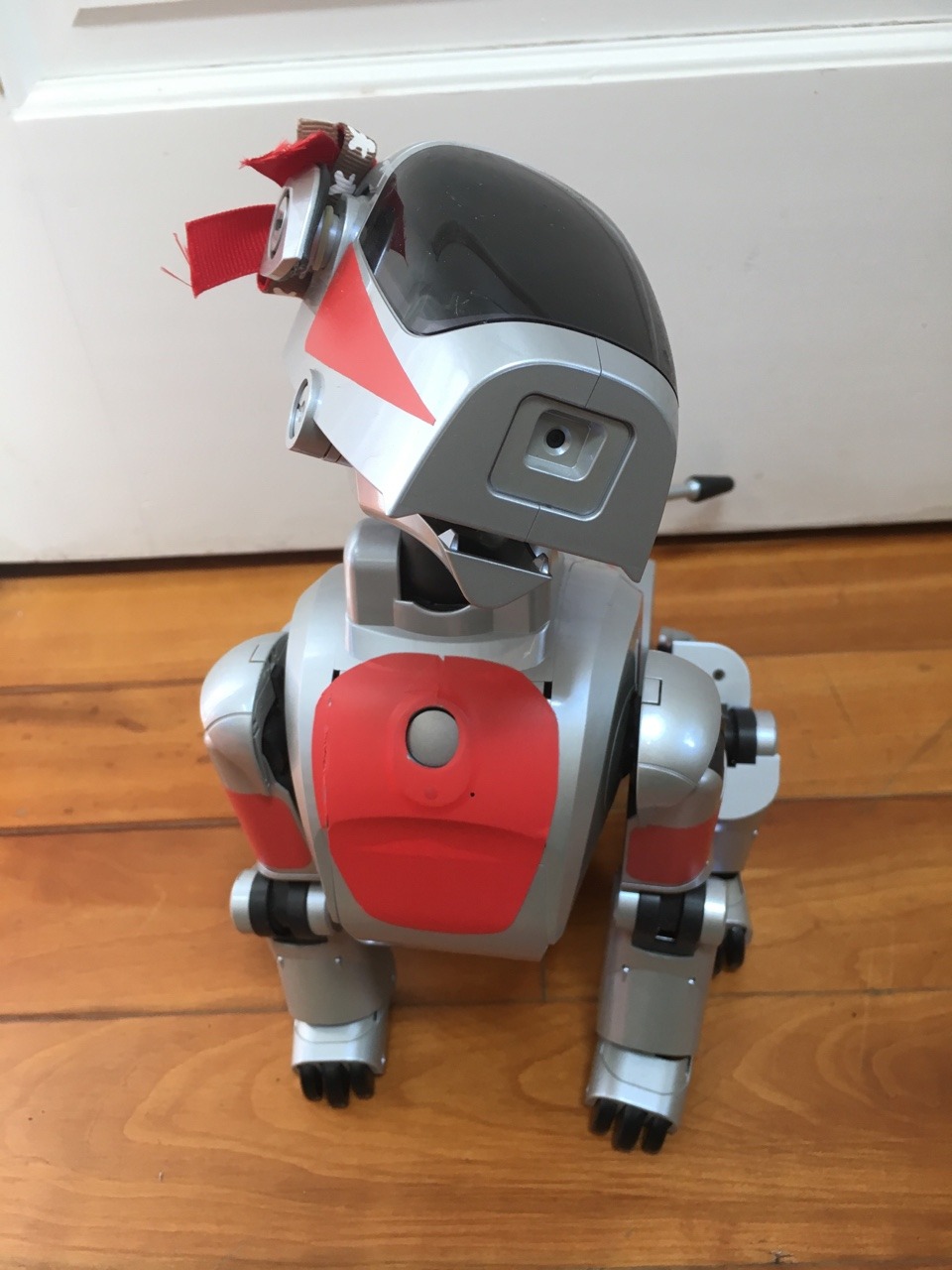 aibo7m3: All Aibos are perfect and no one can convince me otherwise.