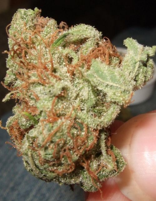 darthweeder420:  AK-47