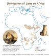 Distribution of lions in Africa.
by @725Hemeed