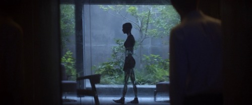 flipsquipsandthwips:Isn’t it strange, to create something that hates you?Ex Machina (2014)