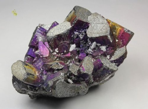 Enargite coated with iridescent Chalcopyrite - Julcani Mine, Julcani District, Angaraes Province, Hu