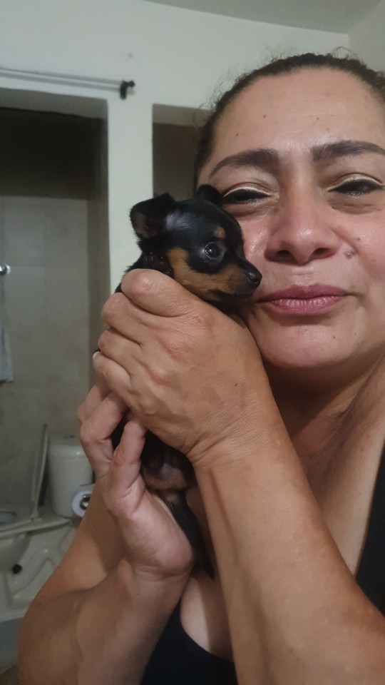Me, 2 Years Ago In Colombia: I Don't Understand Why People Spend So Much Money To Bring A Dog To Another