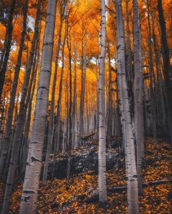 artofvizuals:  k_rowejo | Flagstaff, Arizona