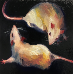 Misterstevens: 2 Rats (Oil On Panel 8″X8″)