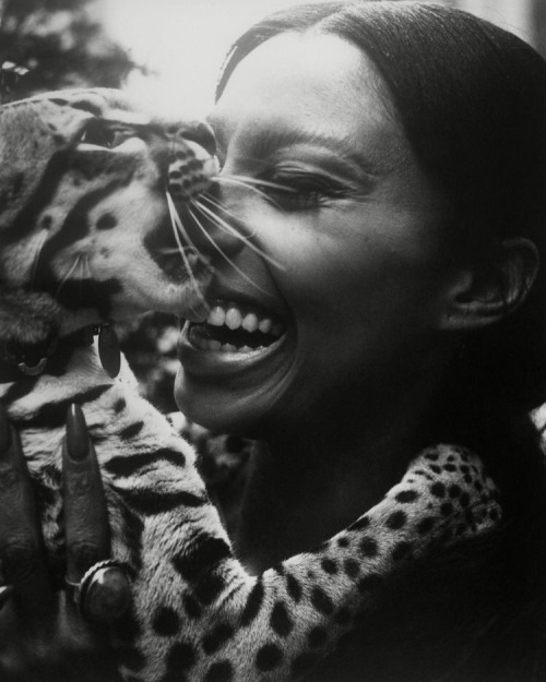 marpessadawn:Donyale Luna with an ocelot named Babou, photographed by Dan Grossi (1966).