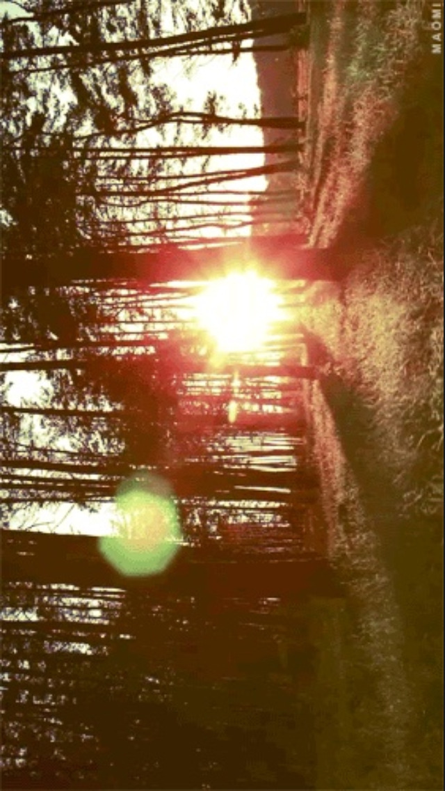 nature is a whore