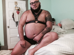 megabaerchen:  vincebear1971:  jcub91:  bearlycare:  Felt like showing off a little after Daddy and I had our fun.  I want one  Well hello!  Mega geiles 🐷!! 😜😝👅💦💦 