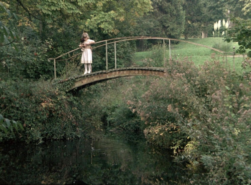 dark-splendor: Un Dimanche à la Campagne (1984), dir. Bertrand Tavernier