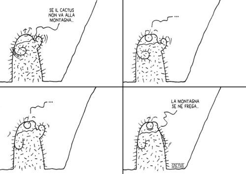 tumblr photo blogdelcactus 0