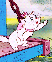 notjustfairytales:  ♔ disney meme  ↳ [8/8] characters: Marie 