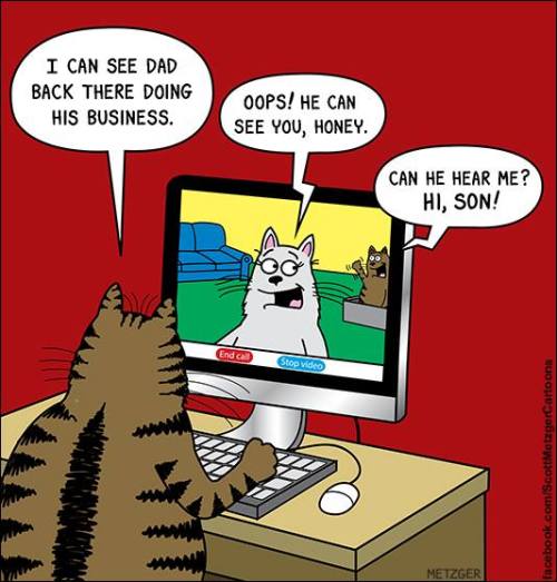 catsbeaversandducks:Cat Comics by Scott adult photos