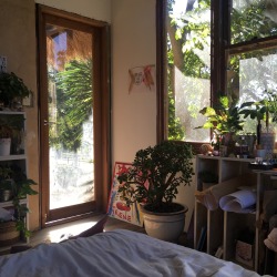 spunkh:  More photos of my treehouse, favourite place