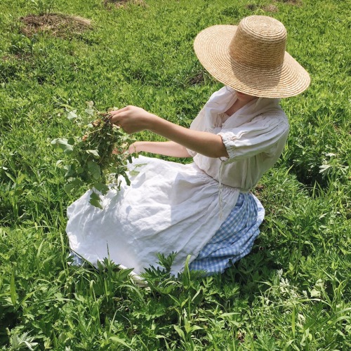 birdirl:5/26 working on a colonial farm for my senior experience project!