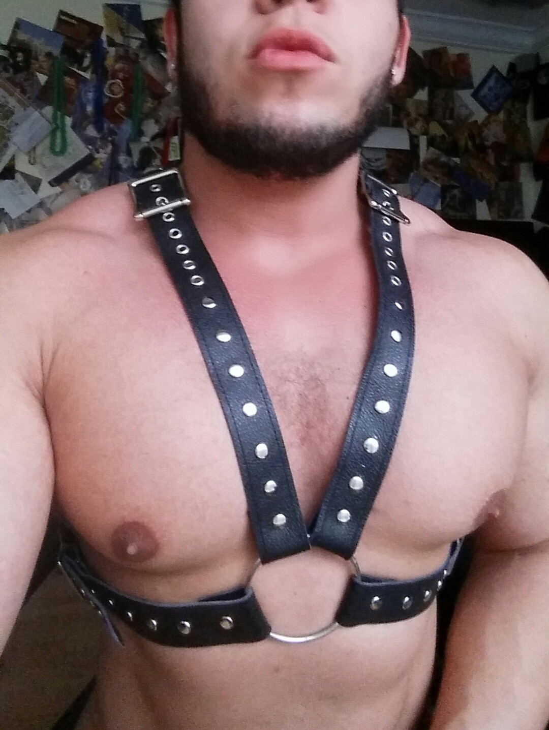 sodomymcscurvylegs:  If only I could wear this around like my Witcher medallion.