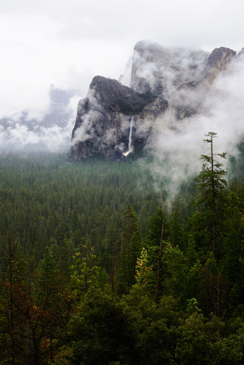 drxgonfly:Bridalveil Fall (by honeynhero photography)