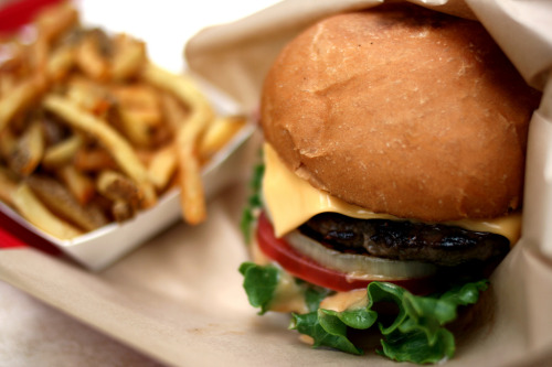 futurescope:The $325,000 in-vitro burger now costs less than $12 + lab-grown chicken is nextThe firs