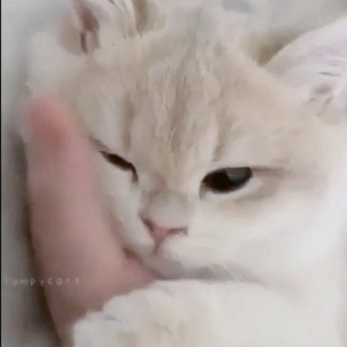 . . .