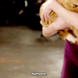 rubyredwisp:Sophie Turner tries Goat Yoga | Vogue WellnessLucy, the baby goat just a month old, she 
