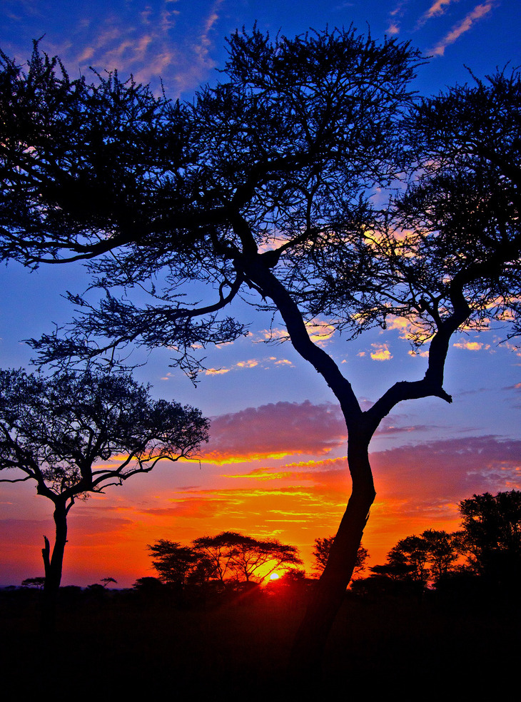 djferreira224:  African Sunrise ~ breathtaking view of the Serengeti, north Tanzania