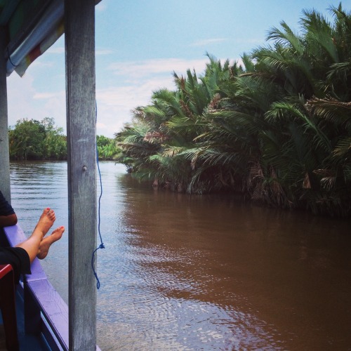 From when I went to Kalimantan and hung out on the river and with the orangutans.