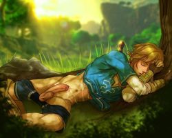 Yummyyaoibaradise: Breath Of The Wild Link By Bludwing Celebrating The Legend Of