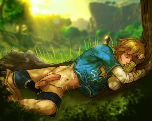 yummyyaoibaradise: Breath of the Wild Link porn pictures