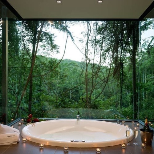 la-scorpiana:  utwo:  A couples-only rainforest getaway perfect for honeymoons and romantic escapes. © crystalcreek rainforest retreat  This is perfect for being alone omg