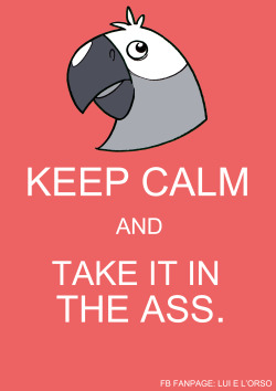 the-bear-and-him:  Keep calm.