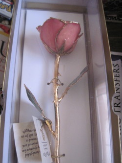 wombflowers:  lostdreamer19:  a-massacre-of-corvines:  eloarei:  My awesomest Christmas present this year, a preserved gold-dipped rose. If this isn’t Beauty And The Beast, I don’t know what is.  Is that. a real. rose. preserevd in stuff.Is THAT a