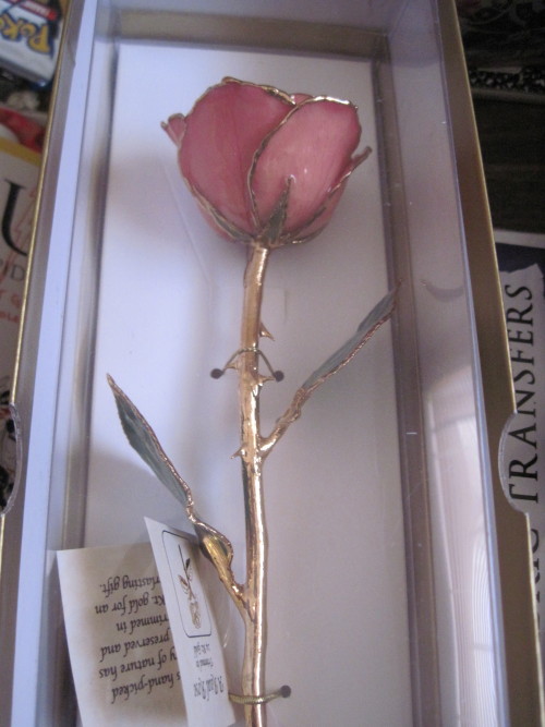 lostdreamer19:a-massacre-of-corvines:  eloarei:  My awesomest Christmas present this year, a preserved gold-dipped rose. If this isn’t Beauty and the Beast, I don’t know what is.  is that. a real. rose. preserevd in stuff.is THAT. a REAL ROSE, preserved.