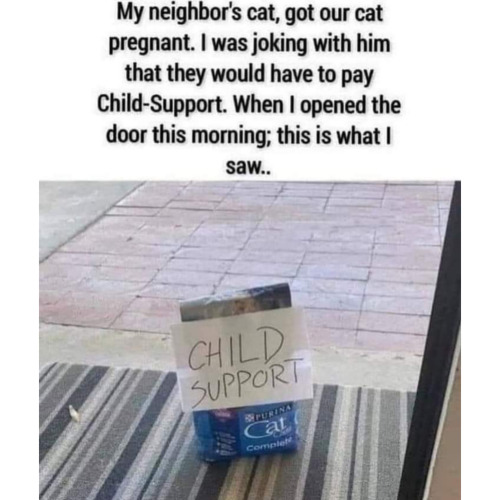 child support