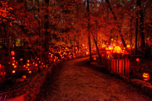 bookofoctober:Roger Williams Park, Providence, RI. Photos by Frank C. Grace