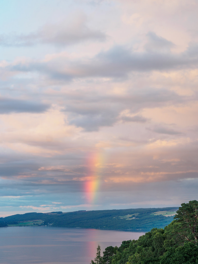 cvece-priroda:  Sunset