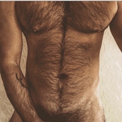 harrybacks:Pubic Hair Tease 41