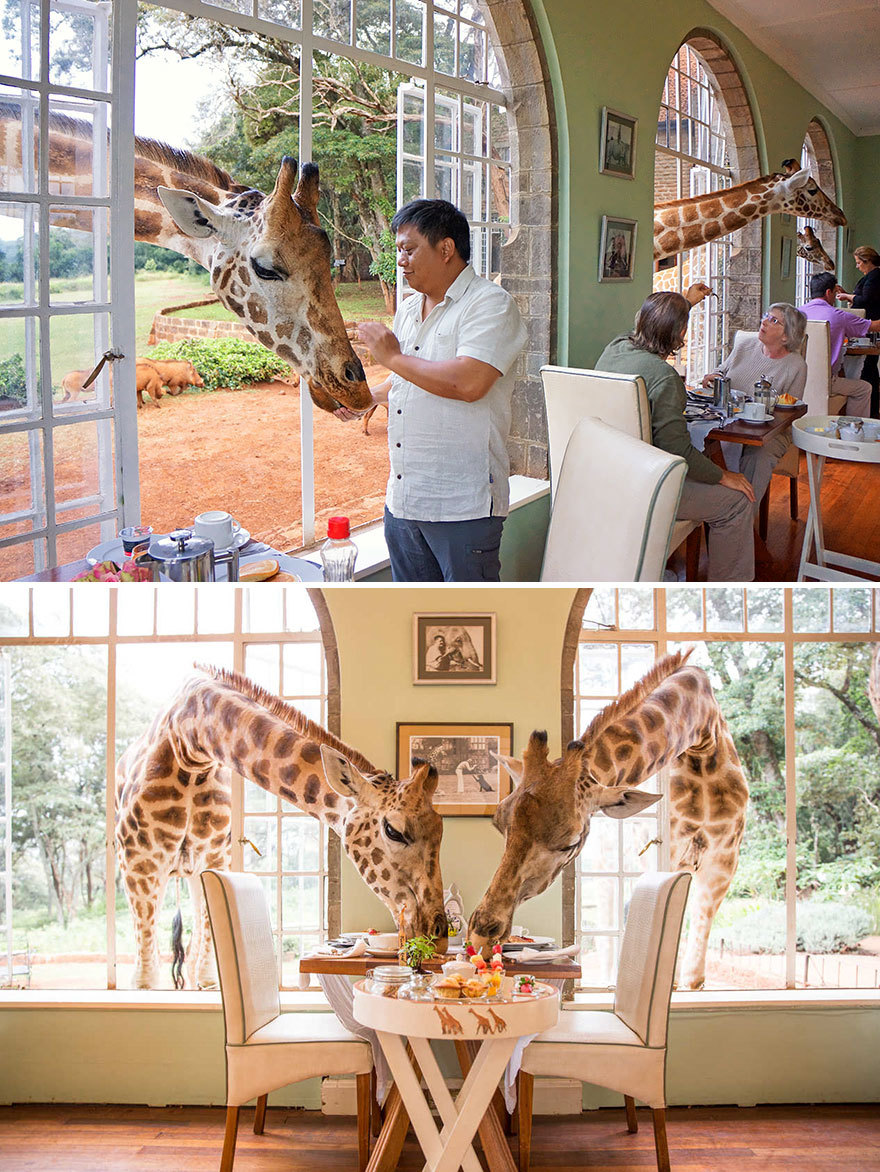 boredpanda:    15+ Of The World’s Most Amazing Restaurants To Eat In Before You