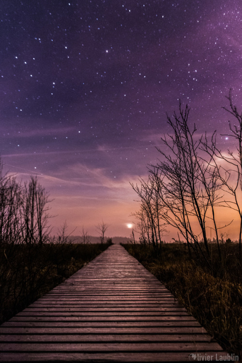 Sex etherealvistas:  Starry sky in “les fagnes” pictures