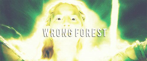 faramircaptainofgondor:  i don’t even know what i’m doing anymore 