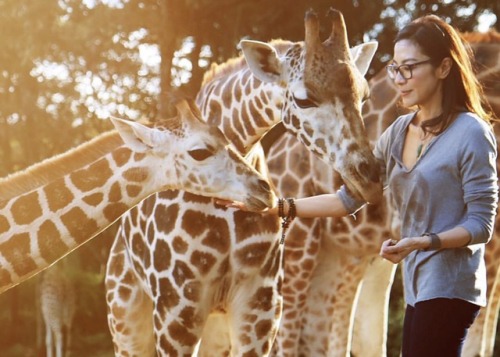 alexromero:Michelle Yeoh + queen of the animals