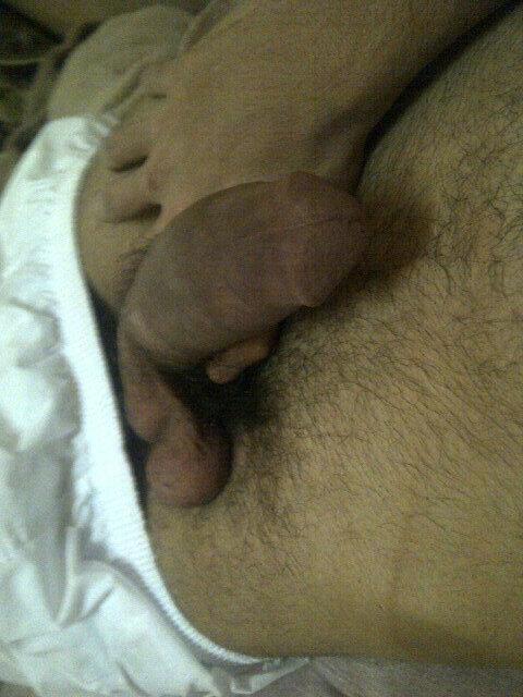 Egyptian Cock