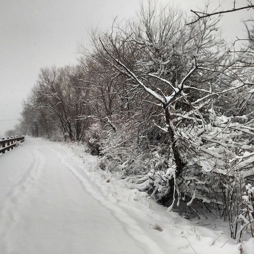 Day#5 Nothing like adventures in a winter wonderland ❄️