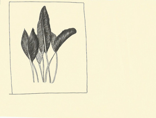 paraeiso: 003 on Flickr.libretas 1