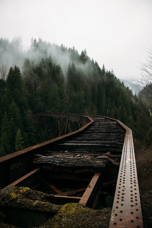 christophermfowler - Ladner Creek Trestle | Yale, BC | March...