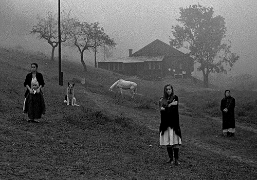 winterswake:NOSTALGHIA / НОСТАЛЬГИЯ (1983) dir. Andrei Tarkovsky