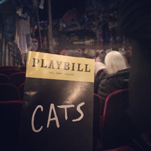 Memories.Oh, Cats. I spent most of my teenage and young adult years mocking this musical. It was my 