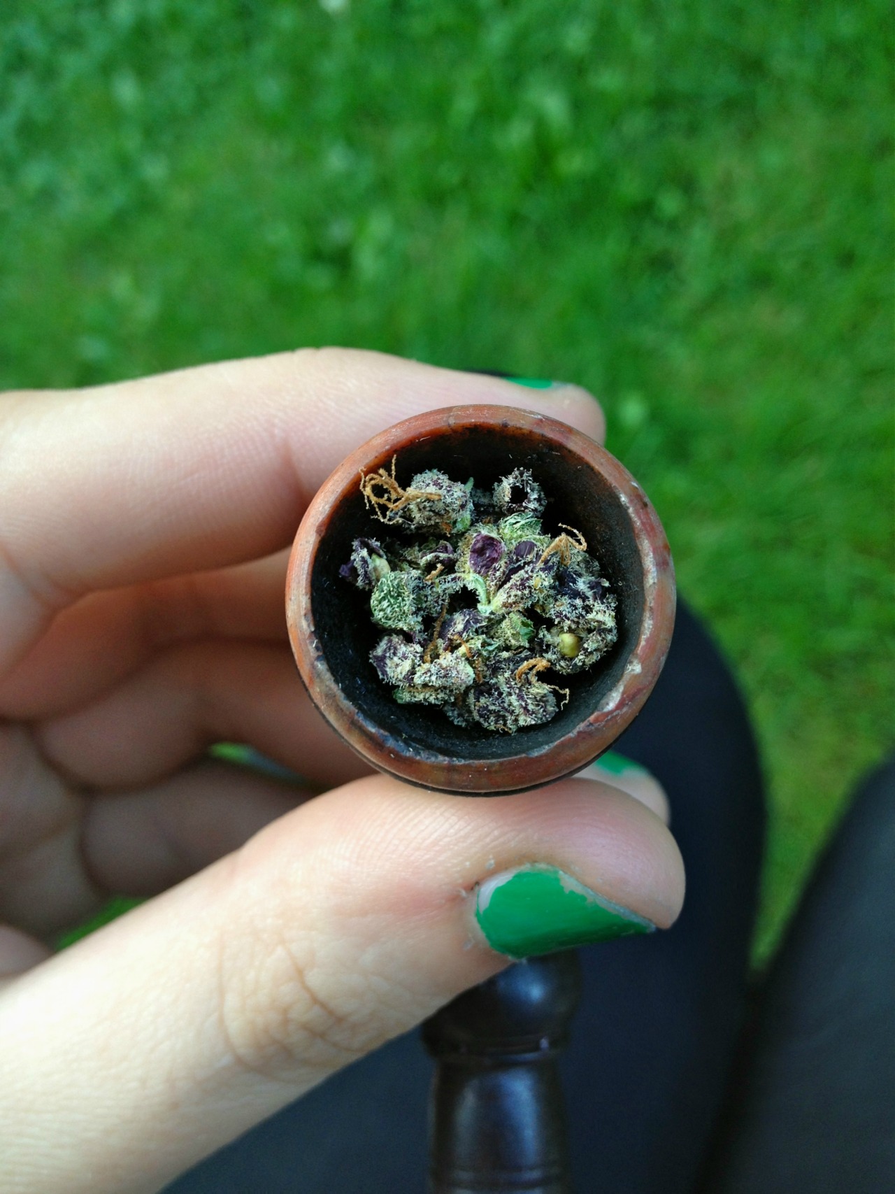 veganpandas:  Purple kush